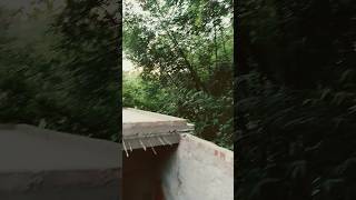 Gob Gob Gob Going First; Comedina Funny 🤣🤣🤣 #viralshorts #shorts #funny