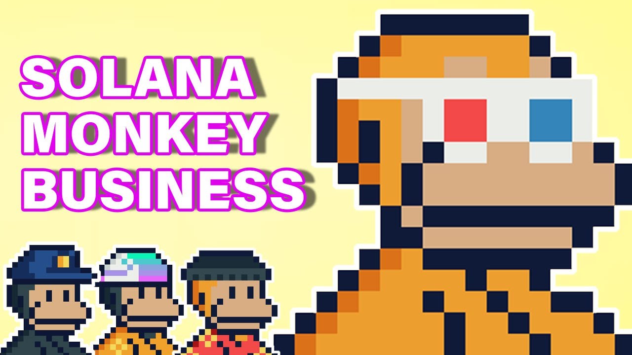 Solana Monkey Business | Solana NFT Project Explained