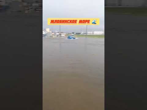 💦 В Жлобине сегодня появилось собственное море #новости #беларусь
