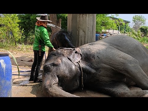 ไปเที่ยวไหนดี ใบข้าว