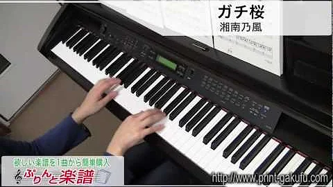 تحميل ガチ桜