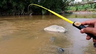 Tadinya tidak yakin mancing di sini || Ternyata pesta strike (micro fishing)