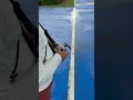 First Flight FMS Ranger 1220 mm (full footage)