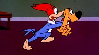 Woody Rescues His Dog | 2.5 Hours of Classic Episodes of Woody Woodpecker