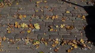 Video thumbnail of "♫  Музыка души...   Осенний роман  -  Арсений Якшиянц. Autumn romance - Arseniy Yakshiyants."