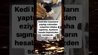 Inasahipçık Igeriçek Şfet Şfetteyiz