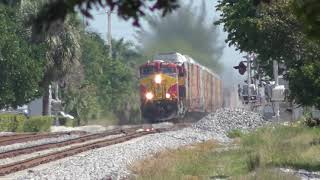 FEC 109 #2309