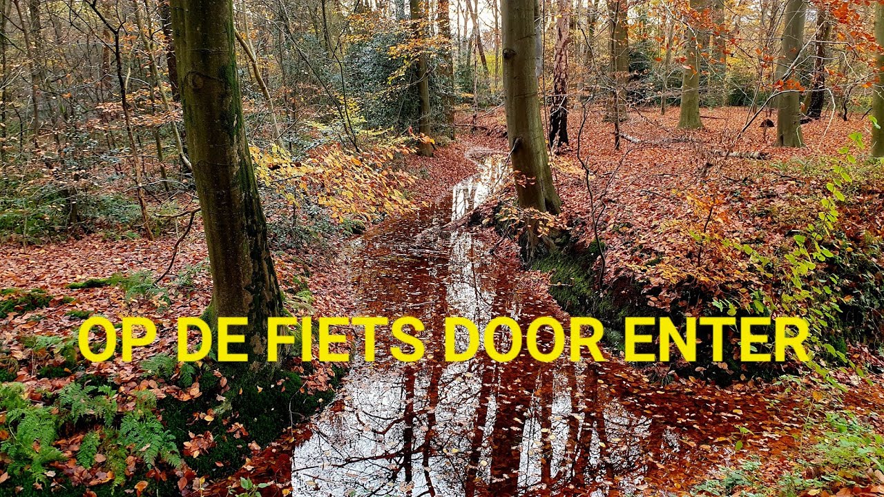 Op de fiets door Enter een dorp aan de Regge in Twente 4K