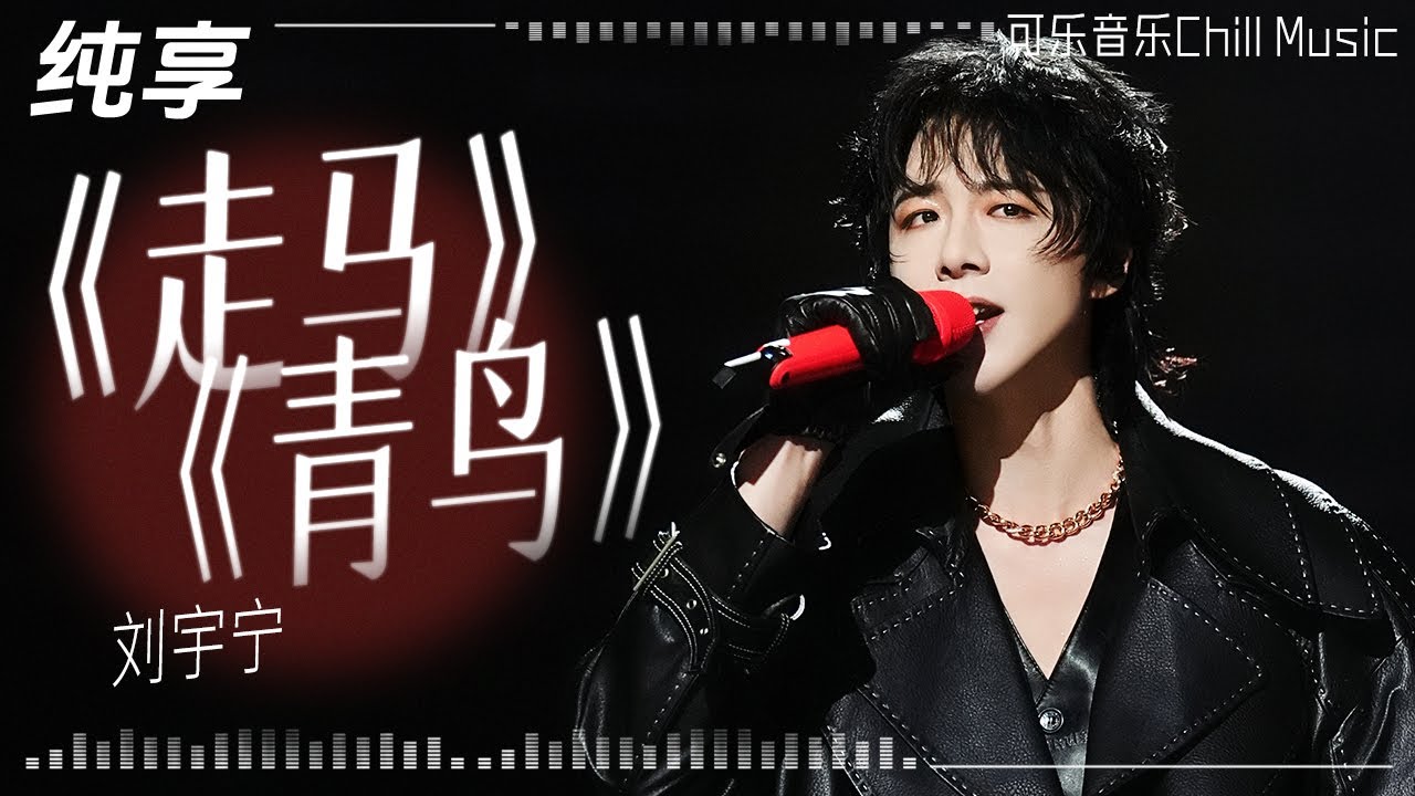 #刘宇宁 时隔6年再唱成名曲《走马》搭档雅#mayavi 合唱《青鸟》燃爆舞台！#音乐 #liuyuning