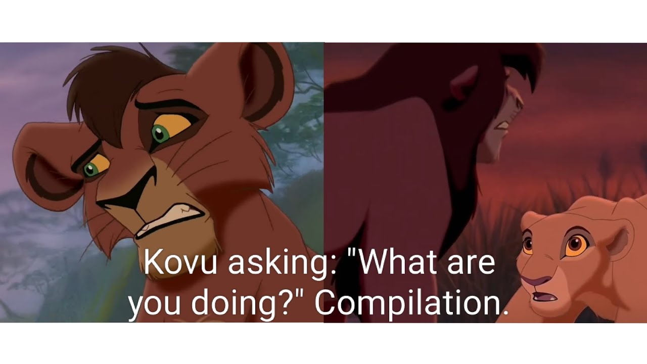 The Lion King II: Simba's Pride - Kovu asking: "What are you doing?".