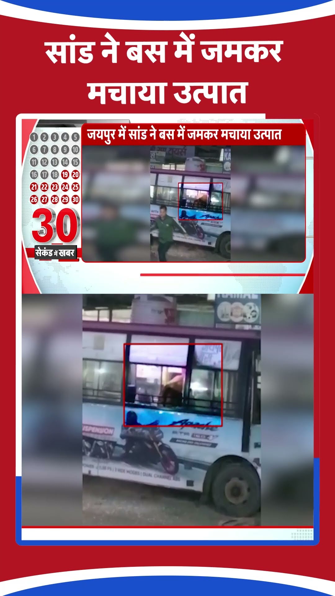 सांड ने बस में जमकर मचाई उत्पात #tv9shorts