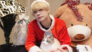 ぼっちなので猫とクリスマスパーティします。