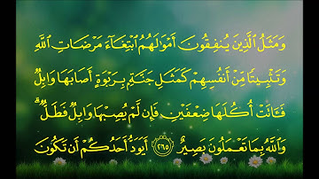 سورة البقرة (الآية 260 ~ الآية 269) - خالد بن علي الغامدي