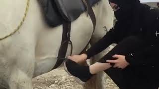 Arabic Girl Riding Arabia