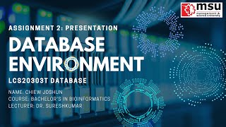 Database Environment