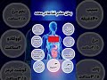 معده ما برای هضم هر غذا به زمان متفاوتی نیاز داره تغذیه سالم سلامتی گوارش ترند هضم غذا غذاها 