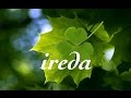 Ireda music publishing