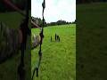 🚁 Epic Helicopter Archery Hunt | Wild Boar Takedown from Above 🐗#helicopter#hunting#arrow