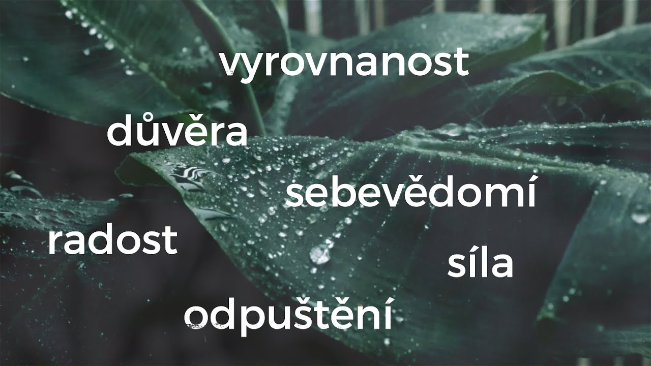 Katalog P - podpora péče propojení - katalog terapeutek, kouček, mentorek, průvodkyň, šamanek