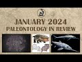 January 2024 paleontology in review