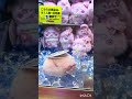 さくら⁉️🌸UFOキャッチャーを楽しむ🌸ちいかわ