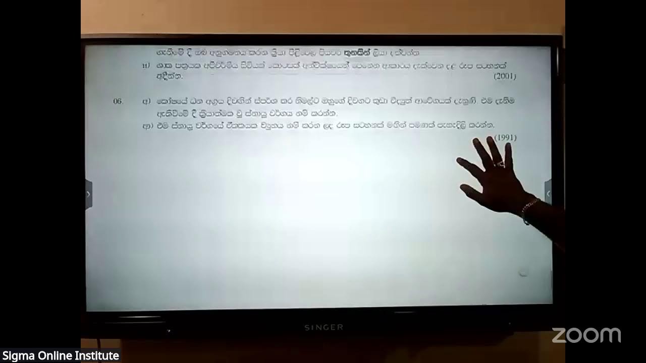 Sigma Online Institute's Zoom Meeting