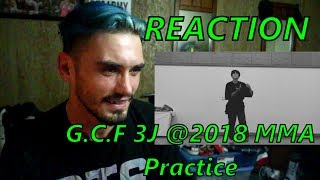 G.C.F 3J @2018 MMA Practice REACTION