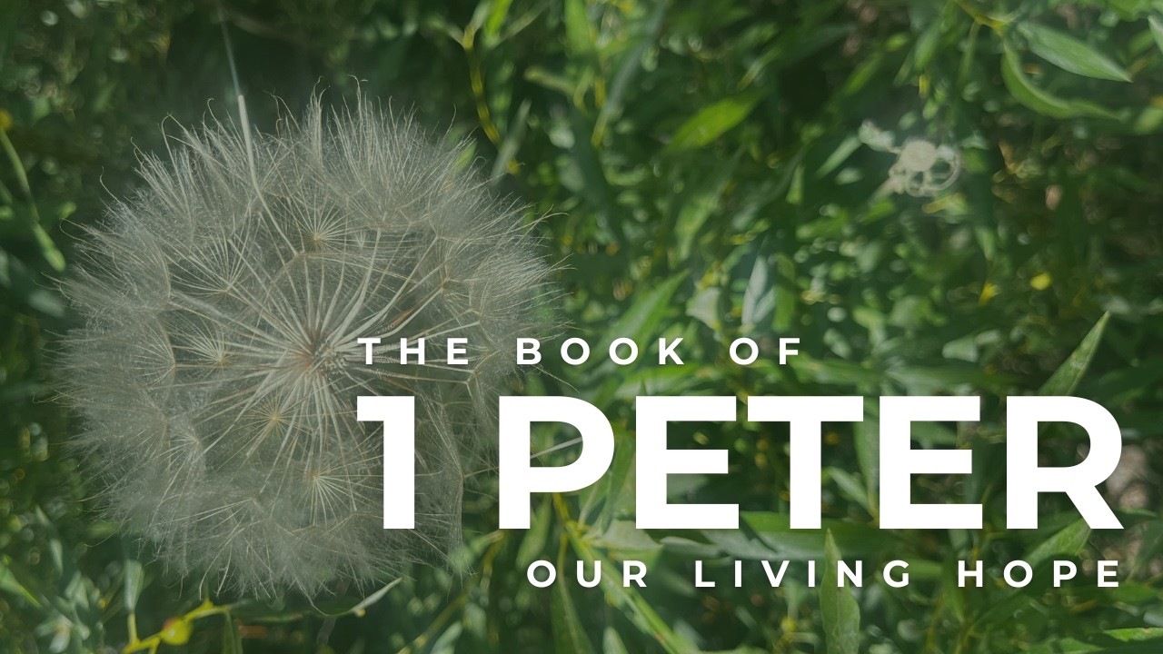 1 Peter - Week 8 | LIVE | 3.1.26