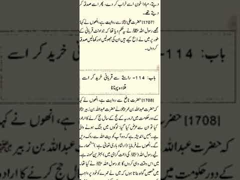 the skins and coverings of. 🐪. sahih bukhari hadees number 1706