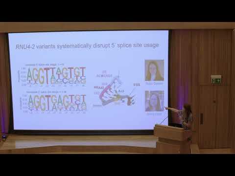 De Novo Variants in snRNA RNU4-2 Cause a Frequent Neurodevelopmental Syndrome — Prof Nicola Whiffin