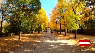Schönbrunn Palace and Gardens during Autumn, Vienna Walking Tour | 4k