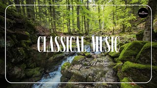 Flowing Melodies: Exploring the Harmonious Relationship Between Rivers and Classical Music | 4K UHD