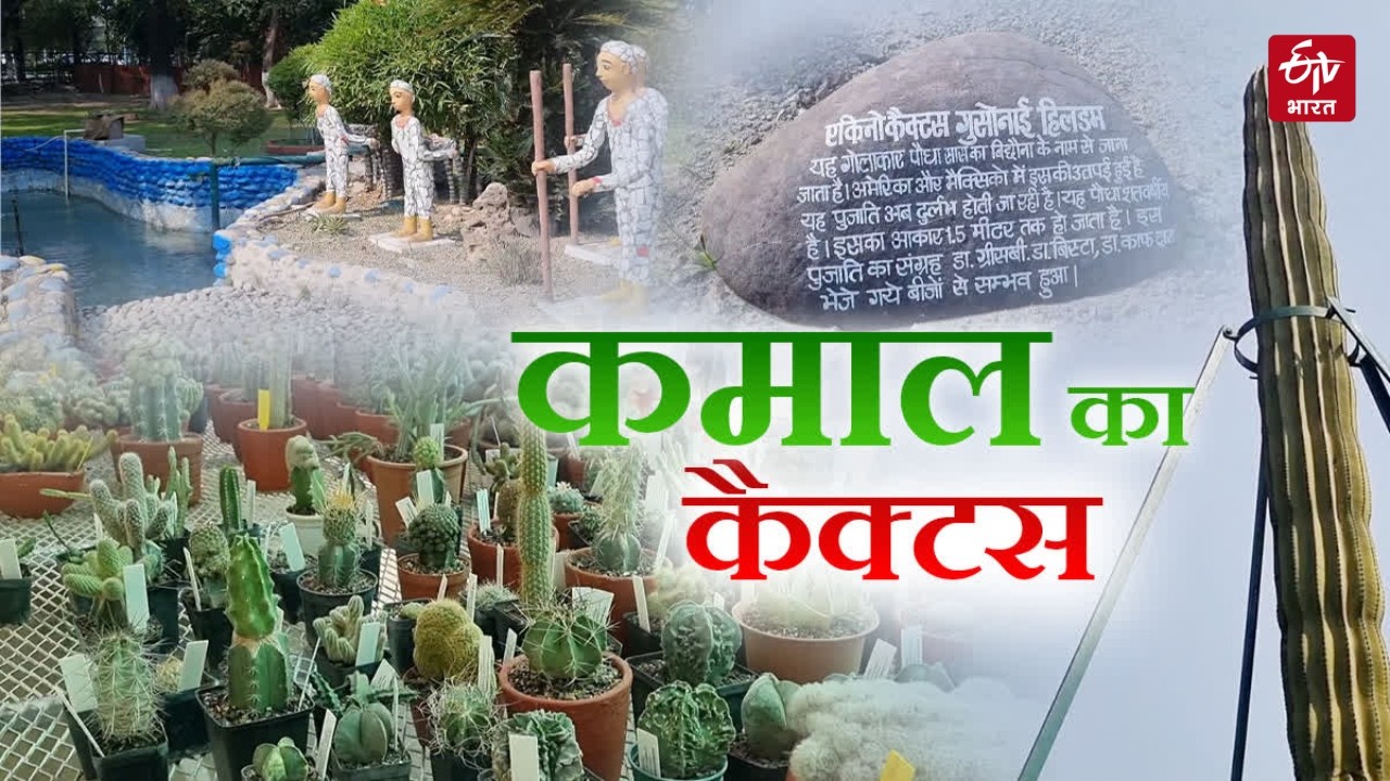 Panchkula में एशिया का सबसे बड़ा Cactus Garden! 1500 किस्मों के साथ 28 फीट लंबा कैक्टस | Haryana