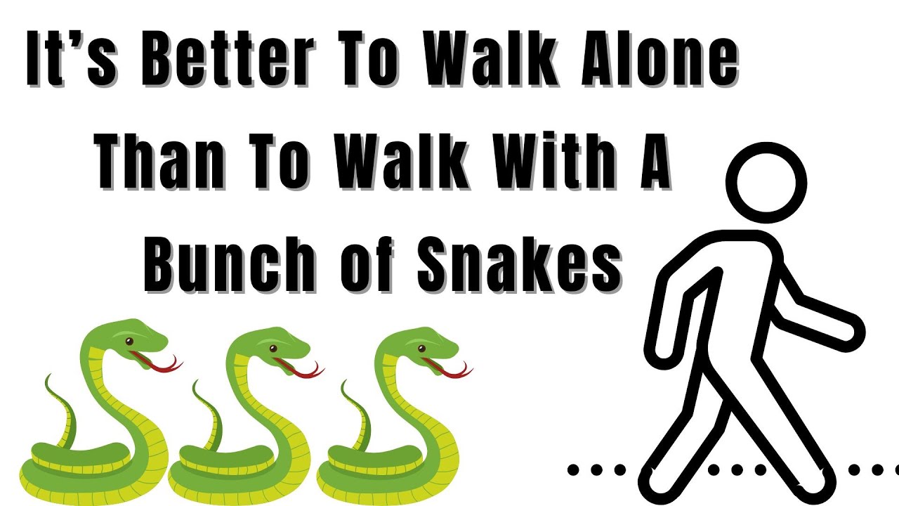 It's Better To Learn To Enjoy Your Own Company 🚶‍♂️Than To Keep Snakes 🐍 In Your Inner Circle
