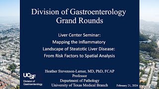 Mapping the Inflammatory Landscape of Steatotic Liver Disease From Risk Factors to Spatial Analysis