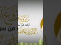 تلاوة جميلة للشاب عاصم
