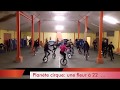 Plante cirque une fleur avec 22 monocycles