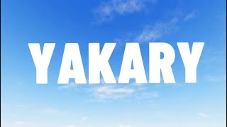 YAKARY - Fake Luv (Lyrics)