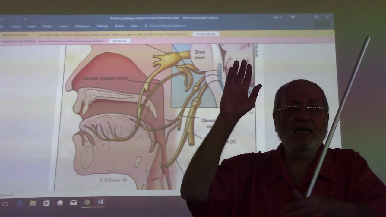 Neuroanatomy 34 ( Medulla obllongata , part 3 ) , by Dr. Wahdan - YouTube