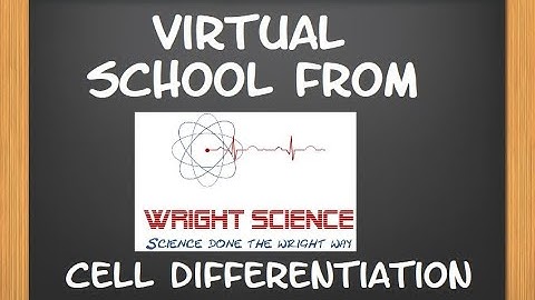 B2.1.5 -  Cell Differentiation -  Y9 Triple Biology