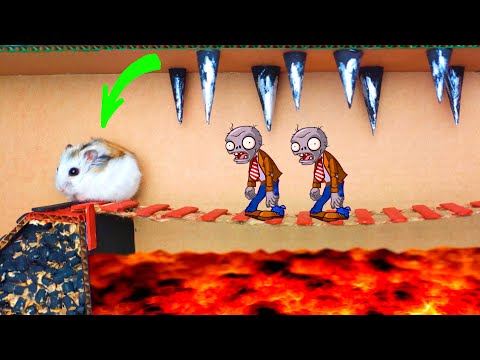 🐹Hamster vs Zombies Hamster Escape from obstacle course maze
