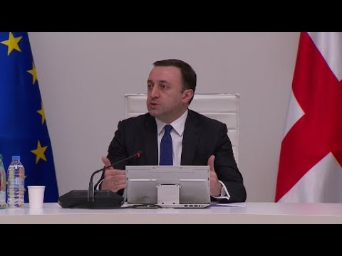 გვჭირდება მაგარი მუშაობა - ირაკლი ღარიბაშვილის განცხადებები მტავრობის სხდომაზე