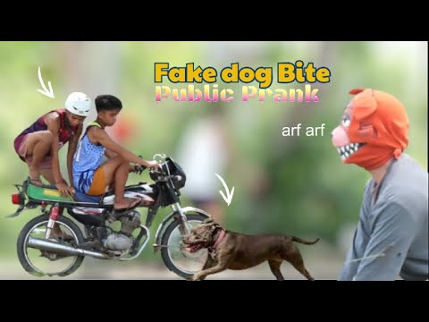 Fake Dog Bite Public Prank | Akala Nila Nakagat Talaga Sila