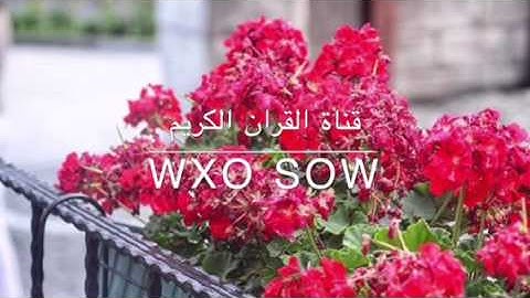 قران كريم- سورة الواقعة - بصوت سلمان العتيبي - جميل جدا