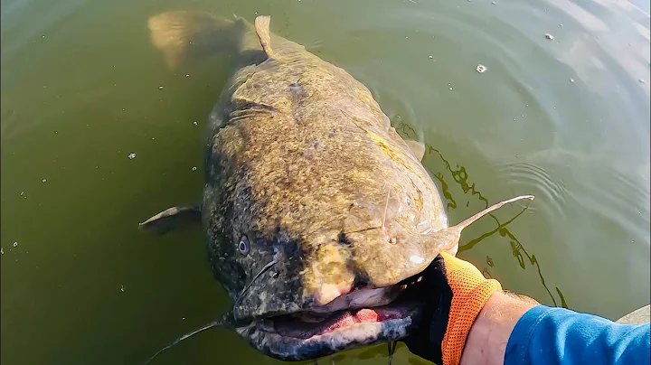 I Hooked A Monster Flathead | Back to Basics Catfishing