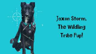 Jaxon Storm, The Wildling Tribe Pup!