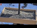 04/04/2026: Backyard Birdwatching Bonanza! Watch the Flocking Around Bird Cam Daily @ 8:00 AM