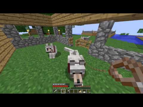 Minecraft playlist ნაწილი 1 ცხენების მოძებნა