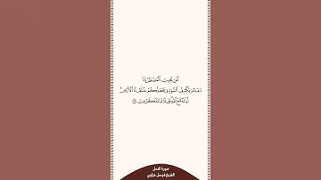 تلاوة في ٣٠ ثانية سورة النمل الآية ٦٢ الشيخ فيصل غزاوي