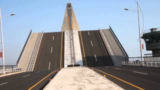 大鵬灣跨海大橋開橋秀